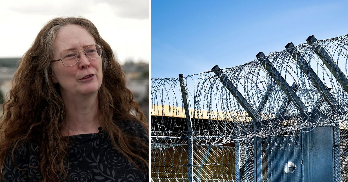 Antalet intagna i fängelse har mer än fördubblats på tio år