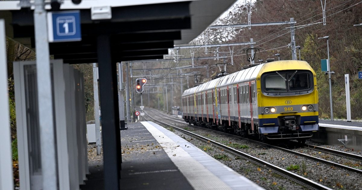 L'offre de trains pour le dimanche sans voiture à Bruxelles fait grincer des dents
