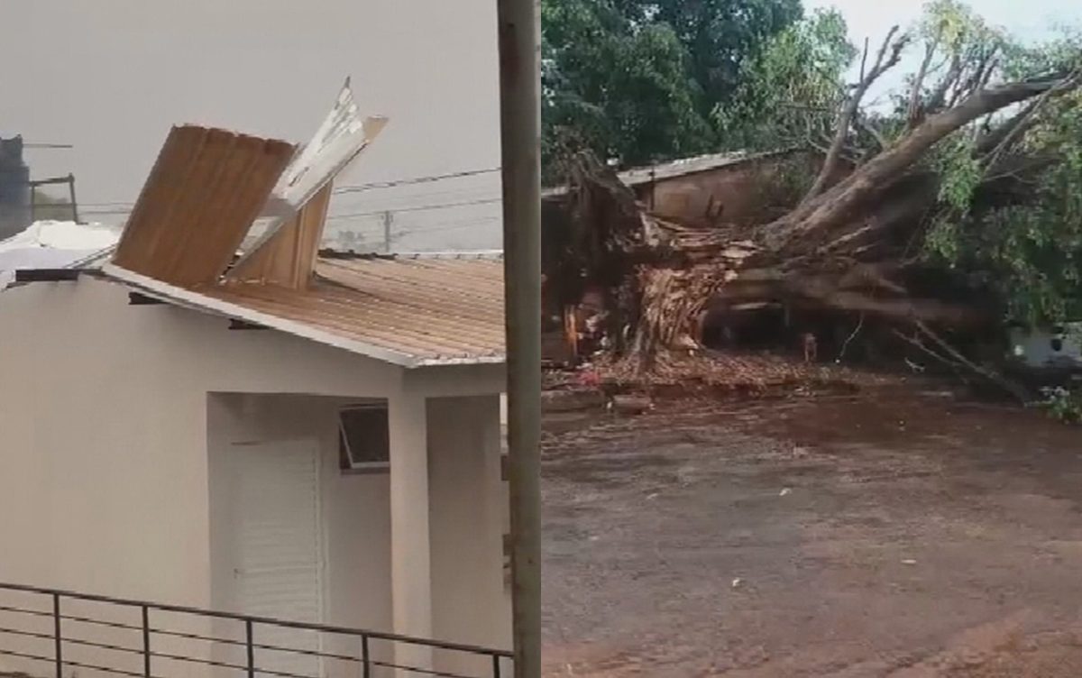 Temporal e ventos fortes causam estragos no sul e sudoeste de Goiás; vídeos