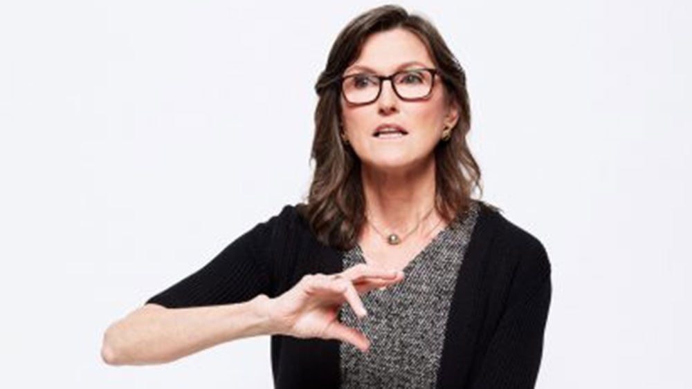 Cathie Wood Grows Robinhood Stake; Sheds More AMD, Palantir