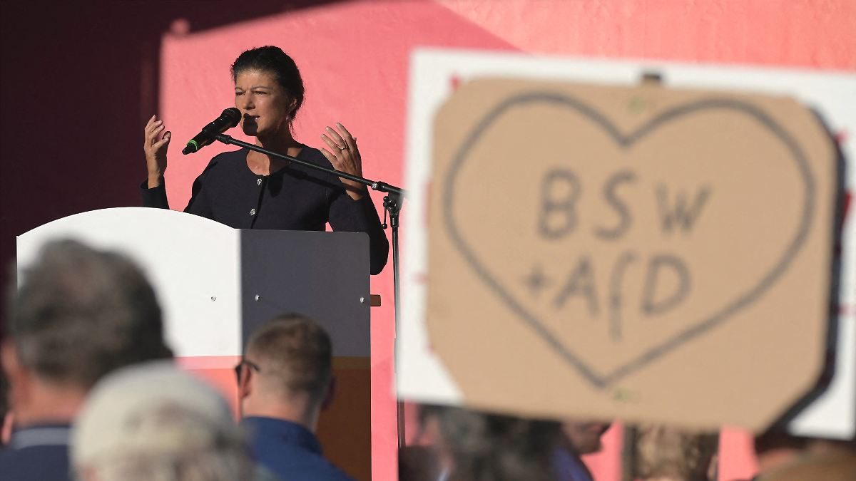"Wirklich schräge Figuren": Wagenknecht empört sich über AfD-Spitze in Sachsen-Anhalt