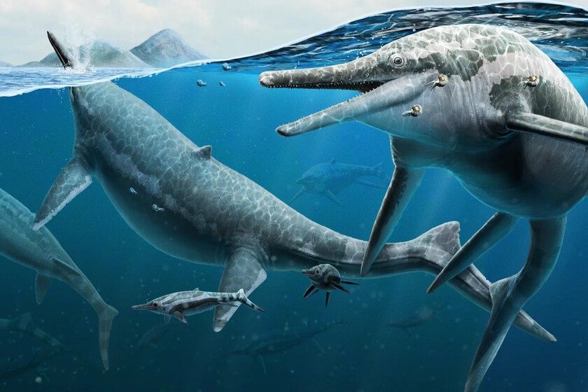En los acantilados de Asturias han encontrado un animal que hasta ahora solo conocíamos de Reino Unido