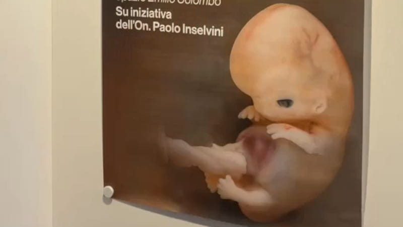 Mostra anti-aborto all’Europarlamento promossa da FdI. È polemica, Pd e M5S: “Oltraggio alle donne”