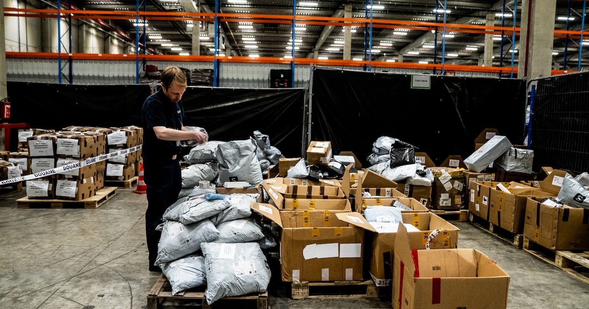 Vêtements, jouets, appareils électroniques ... Le Parlement européen vote une redevance sur les petits colis achetés ho…