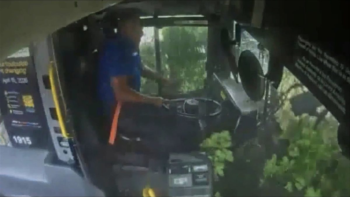 Chauffeur valt in slaap en crasht bus tegen boom in VS