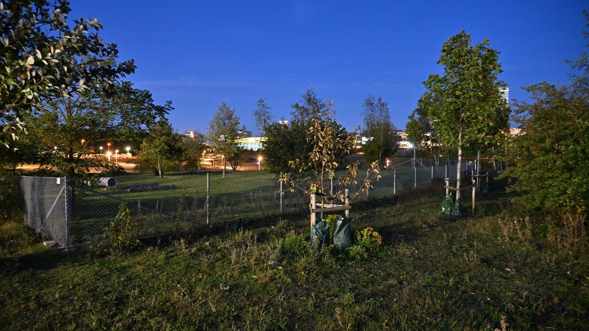 Uppgifter: Stort knarkfynd i plantering i Hyllie – hittades av en slump