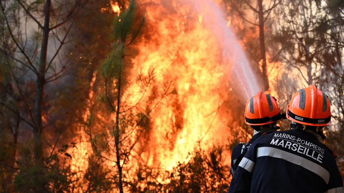 EU plans new firefighting fleet after deadly summer heat wave