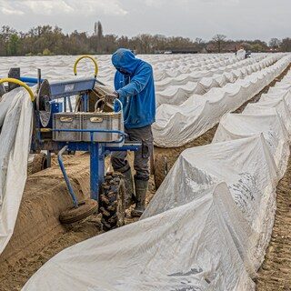 Verbod op het inhouden van huur moet arbeidsmigranten vanaf 2028 beter beschermen tegen dakloosheid