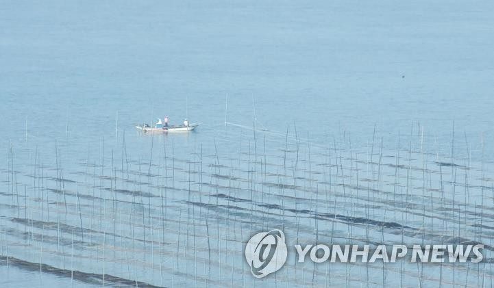 인천 앞바다 김 양식장서 외국인 작업자 실종…해경 수색