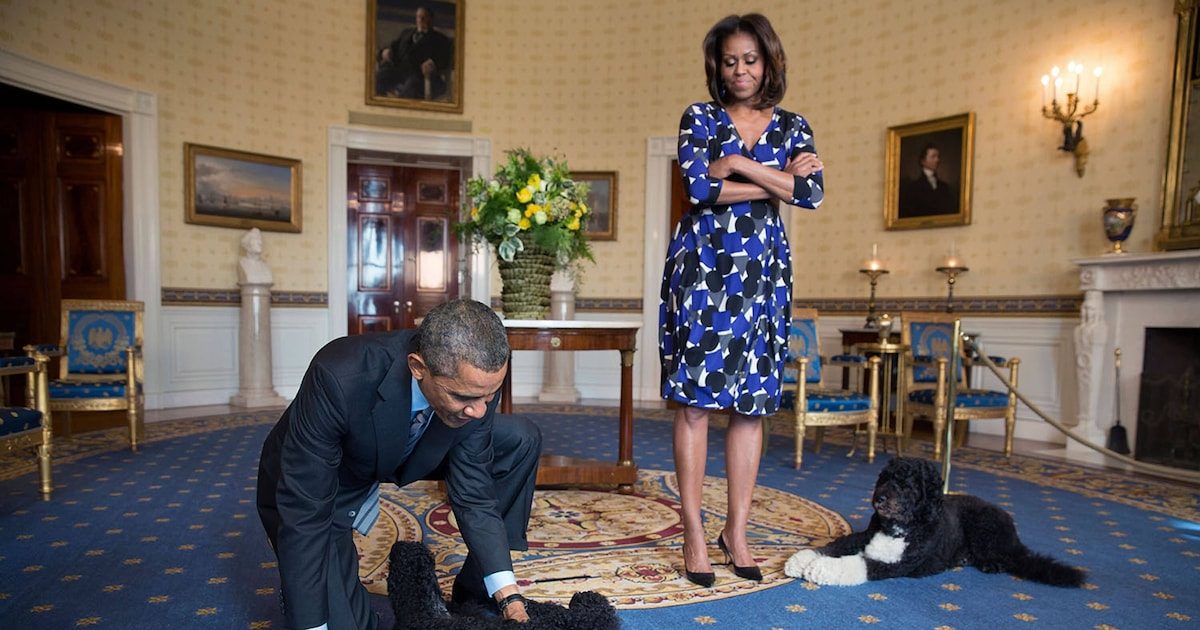 „Ein geliebtes Mitglied unserer Familie verloren“: Barack und Michelle Obama trauern um ihre Hündin Sunny