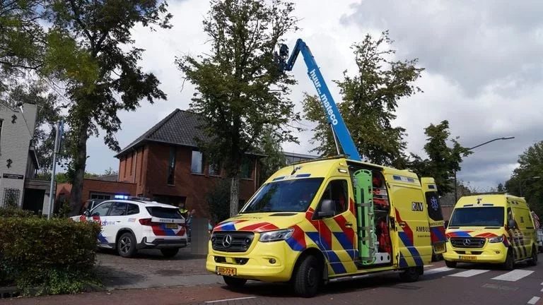 Bomensnoeier in Vught springt uit hoogwerker vanwege aanval Aziatische hoornaars