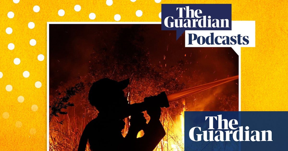The 'apex predator' of fires choking south-east Asia - podcast