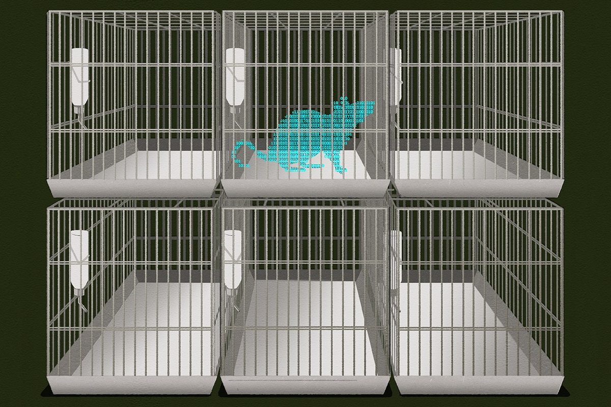 Why it is time to restate the case for the importance of research on animals