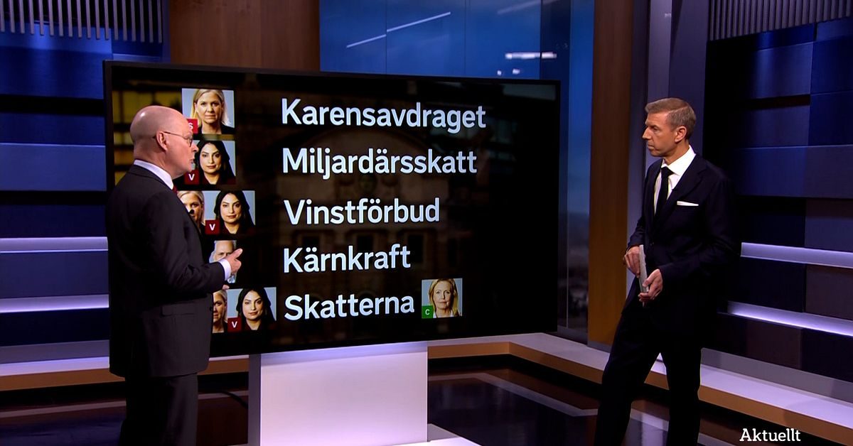 Knutson om utmaningarna i ett rödgrönt samarbete