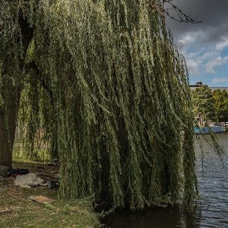 Verbod op buiten slapen in Amsterdam stap dichterbij: uitzondering voor portieken lijkt rond