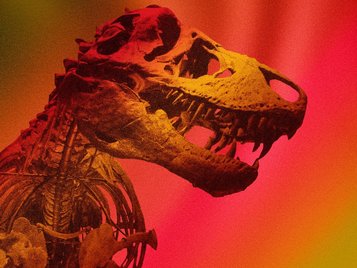 T. rex was as warm-blooded as humans, new study finds