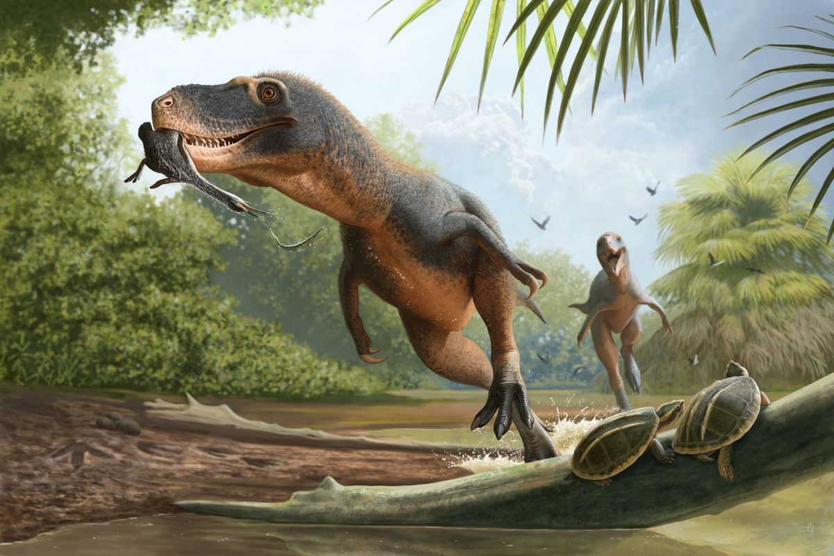 A 66-Million-Year-Old Feather Trapped in Dinosaur Poop Might Help Explain Why Some Birds Survived Mass Extinction