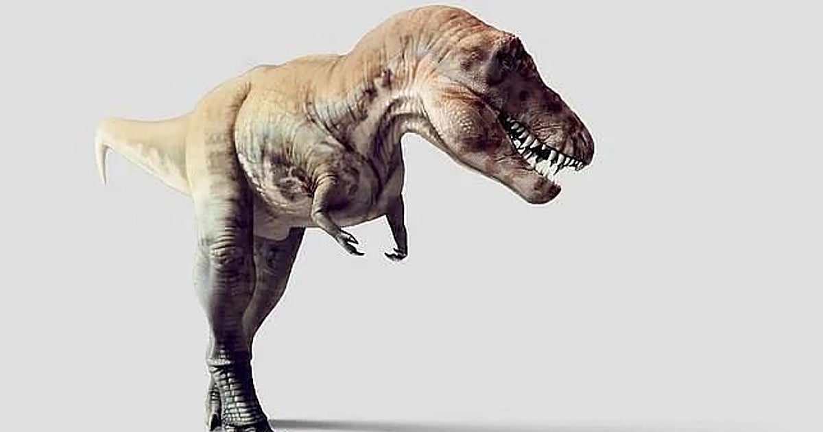 El tiranosaurio rex era de sangre caliente y tenía la misma temperatura que los humanos