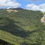 Forest structure matters more than topography in shaping plant diversity in Southern Apennine old-growth forests