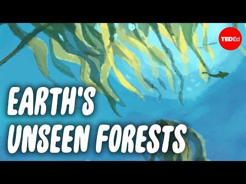The magical forest realm hiding at the bottom of the ocean