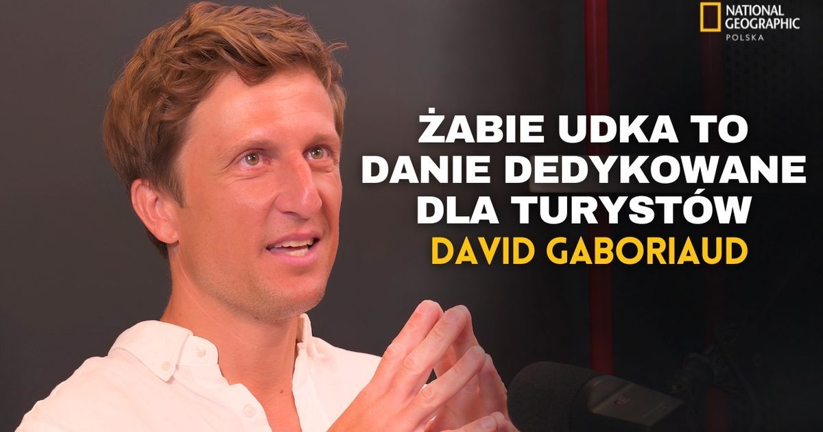 Żabie udka to kulinarna pułapka na turystów? David Gaboriaud bez ogródek o mitach kuchni francuskiej