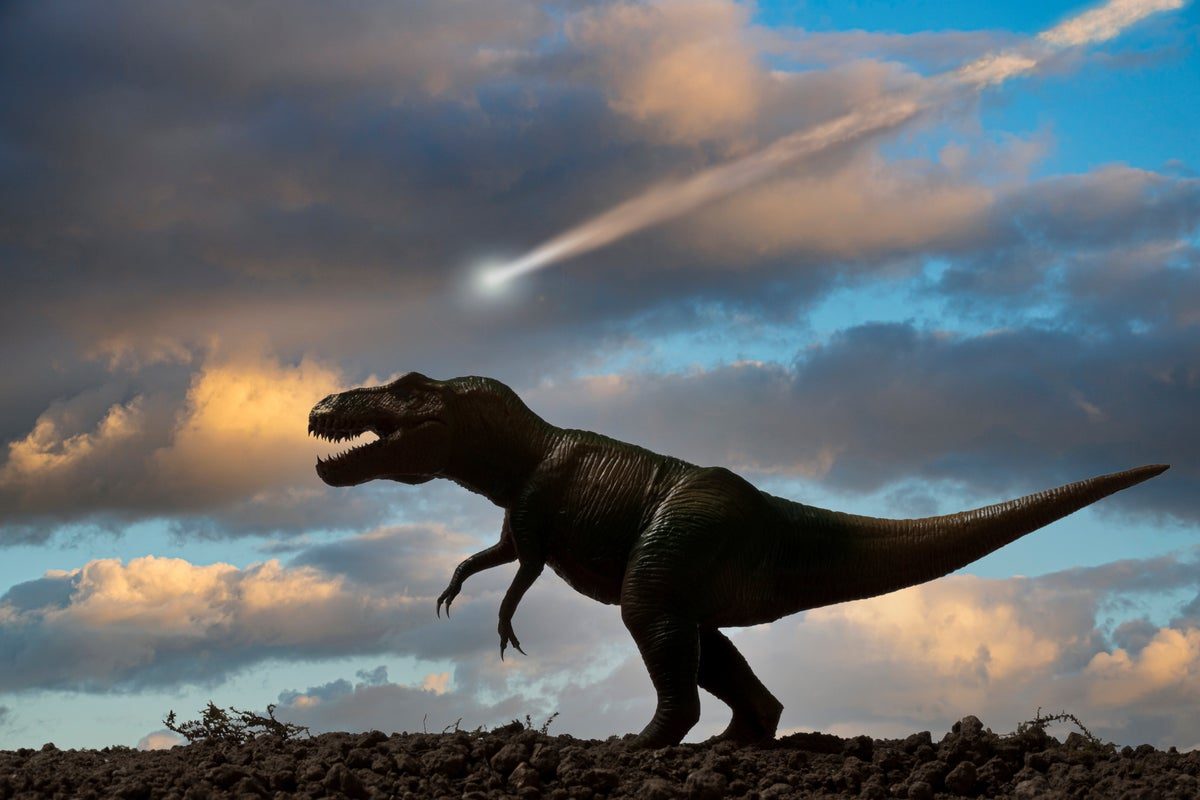 New T. Rex discovery completely counters the long-held image of the dinosaur