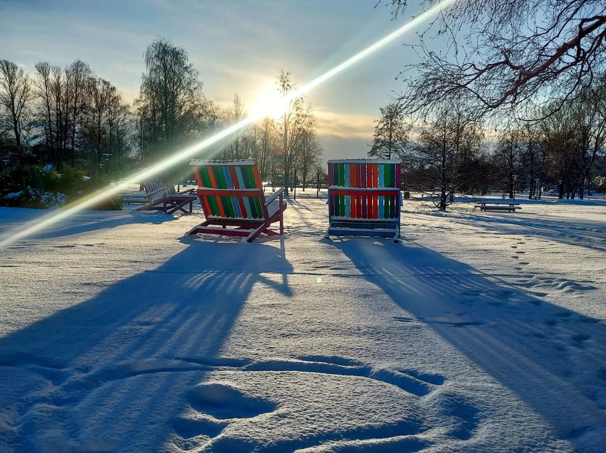 It won’t be long until the ground is white and the winter sun shines like this again.