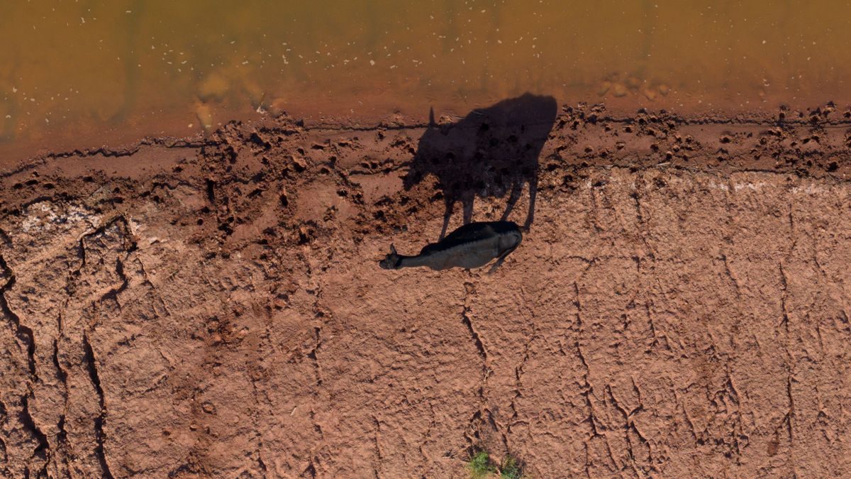 Uno-Bericht: Landwirtschaft verschärft weltweite Grundwasserkrise