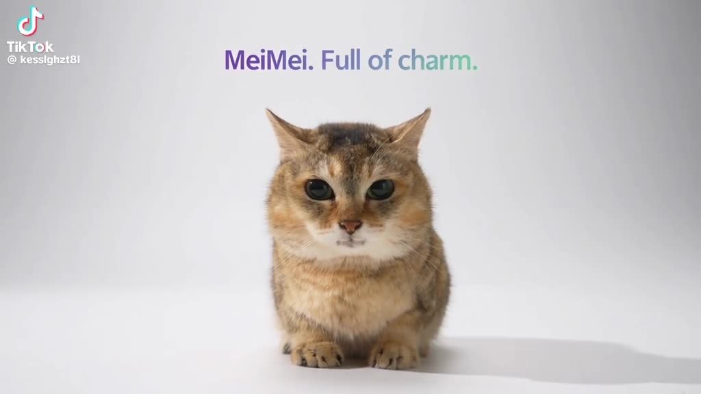 saw this on my feed, had to show you guys too