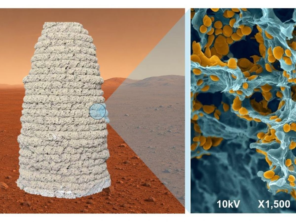 Des maisons martiennes en levure ?