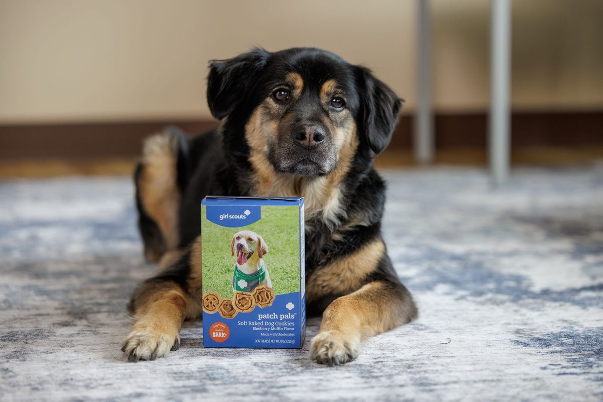 Girl Scouts of America Announces a First for Its Iconic Cookie Lineup—One Created Exclusively for Dogs