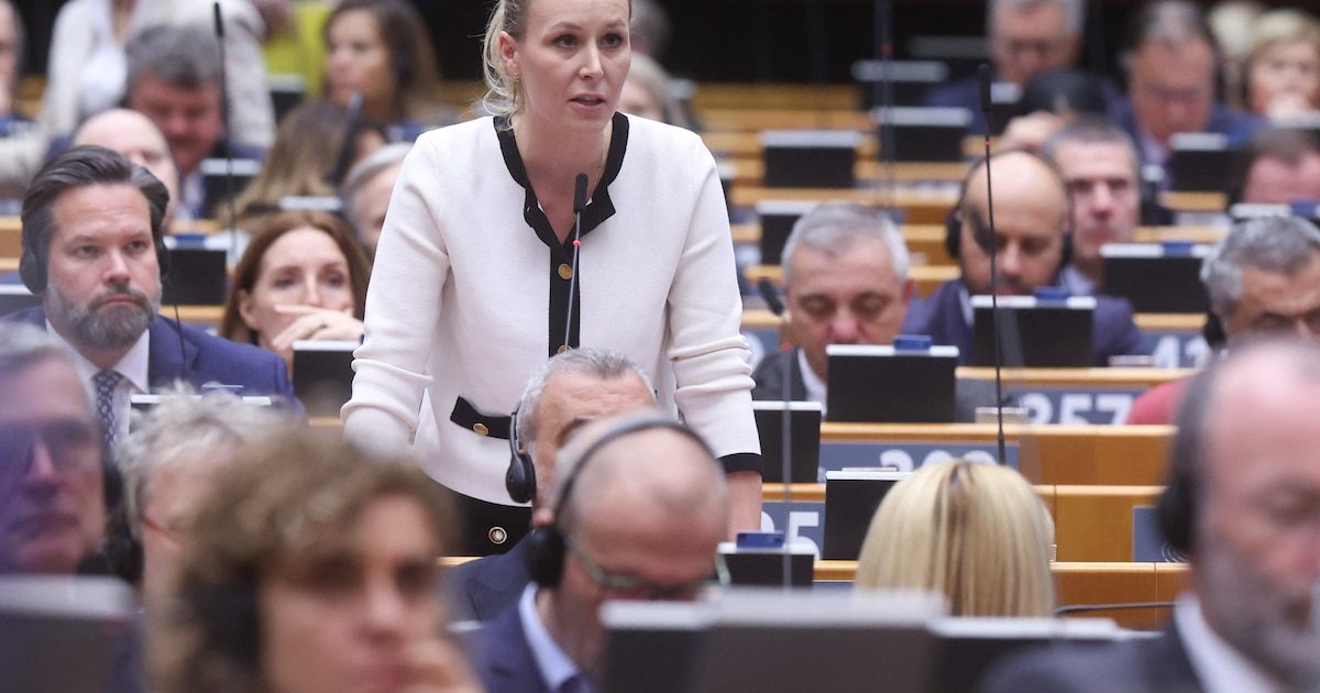 "Ça vous étonne ?" : Jordan Bardella raille la présence de Marion Maréchal à une exposition anti-IVG