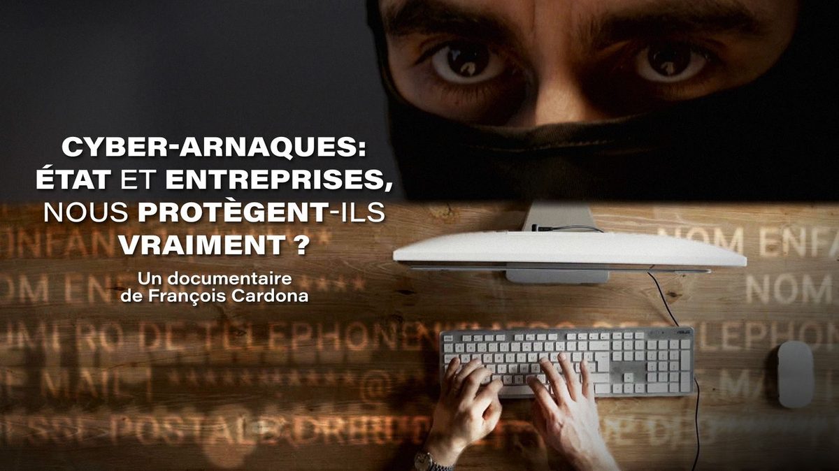"Cash Investigation". Cyber-arnaques : l'Etat et les entreprises nous protègent-ils vraiment ?