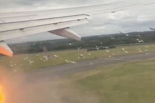 TUI flight forced into emergency landing at Cardiff Airport after engine bursts into flames