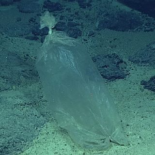 Vuilnisbelt van plastic gevonden in uithoek van oceaanbodem