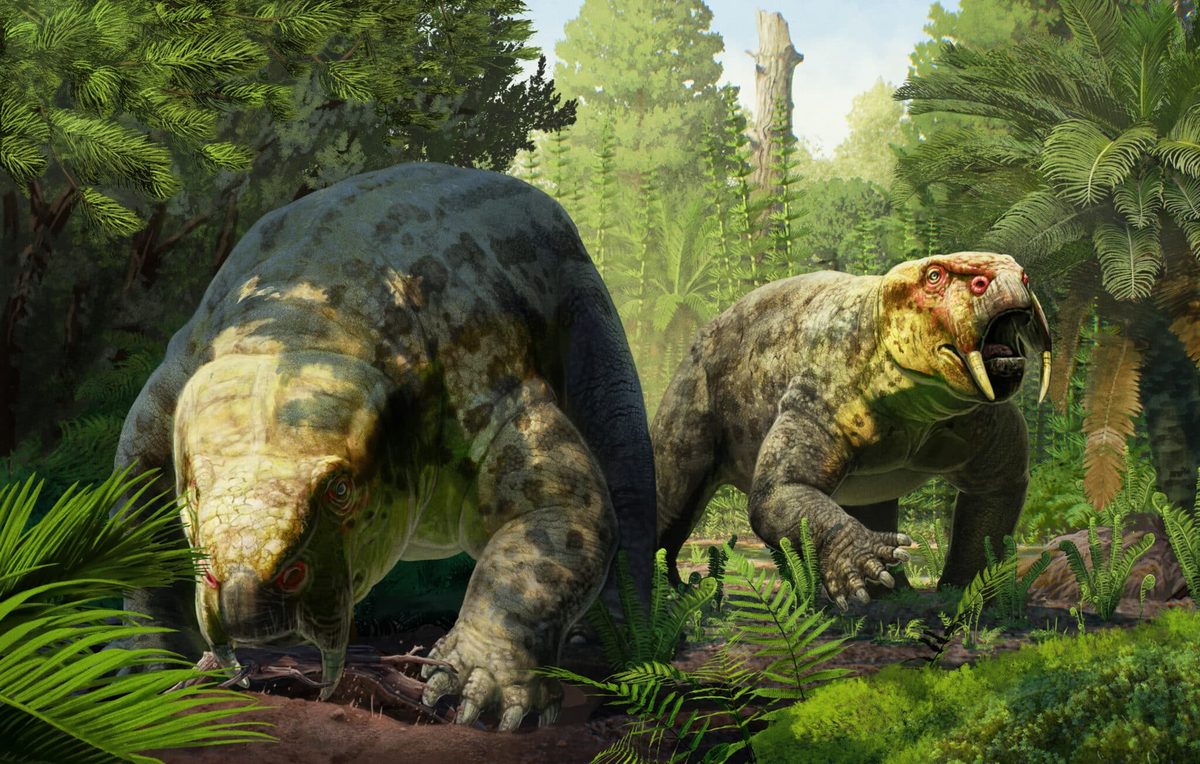 Deze nieuwe soort uit Tanzania werpt een ander licht op de eerste dinosauriërs