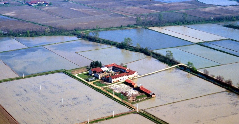 Pavia, maxi-frode nel commercio del riso bio: sequestrati beni per oltre 10 milioni