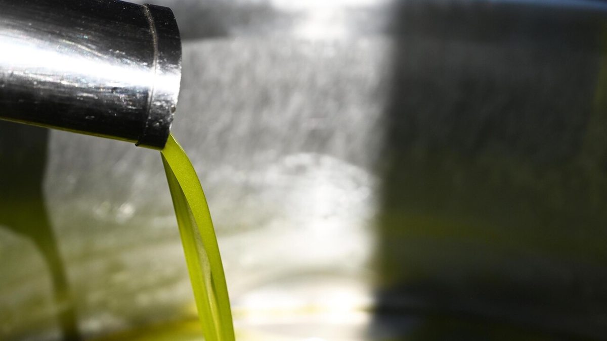 La Pietra, pronti a misure ad hoc su liquidità e tracciabilità olio