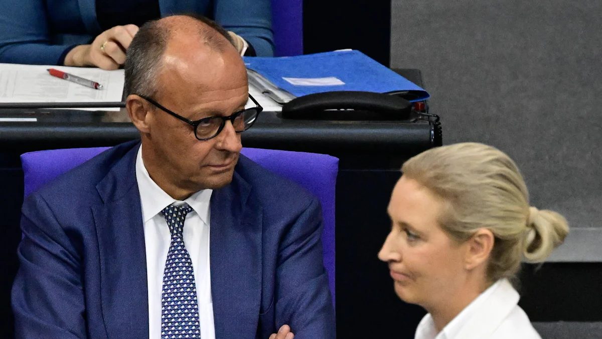 Newsblog zur Bundespolitik: Vorwurf geplanter „ethnischer Säuberungen“: AfD-Fraktion zeigt Kanzler Merz an