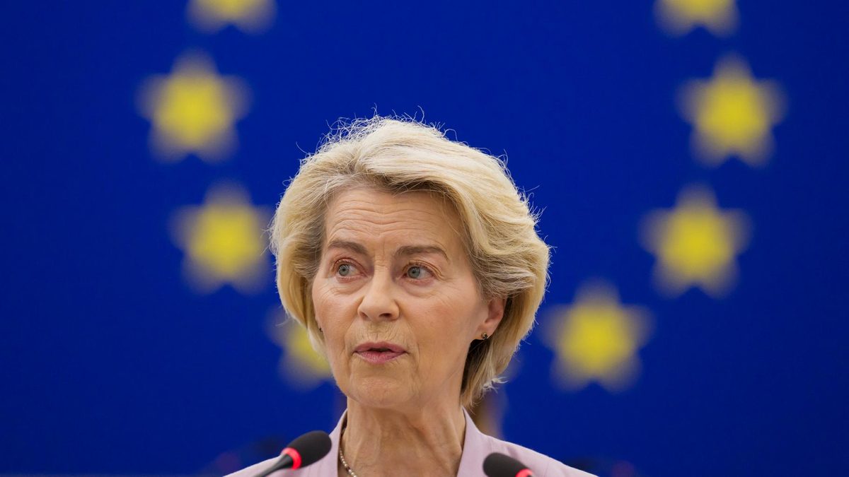 Ce que l’UE va reprendre du Conseil constitutionnel pour l’interdiction des réseaux sociaux aux ados