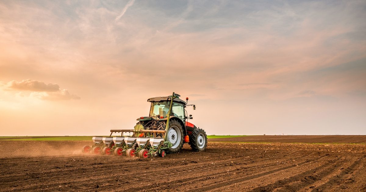La Flandre se divise sur la gestion de ses terres agricoles et naturelles