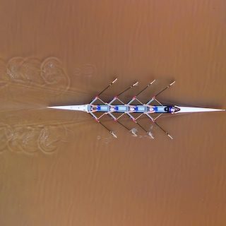 Olympische roeiers moeten in 2032 het water op tussen honderden krokodillen