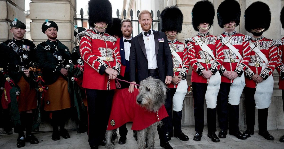 Le prince Harry s'offre une première sortie publique depuis son retour au Royaume-Uni