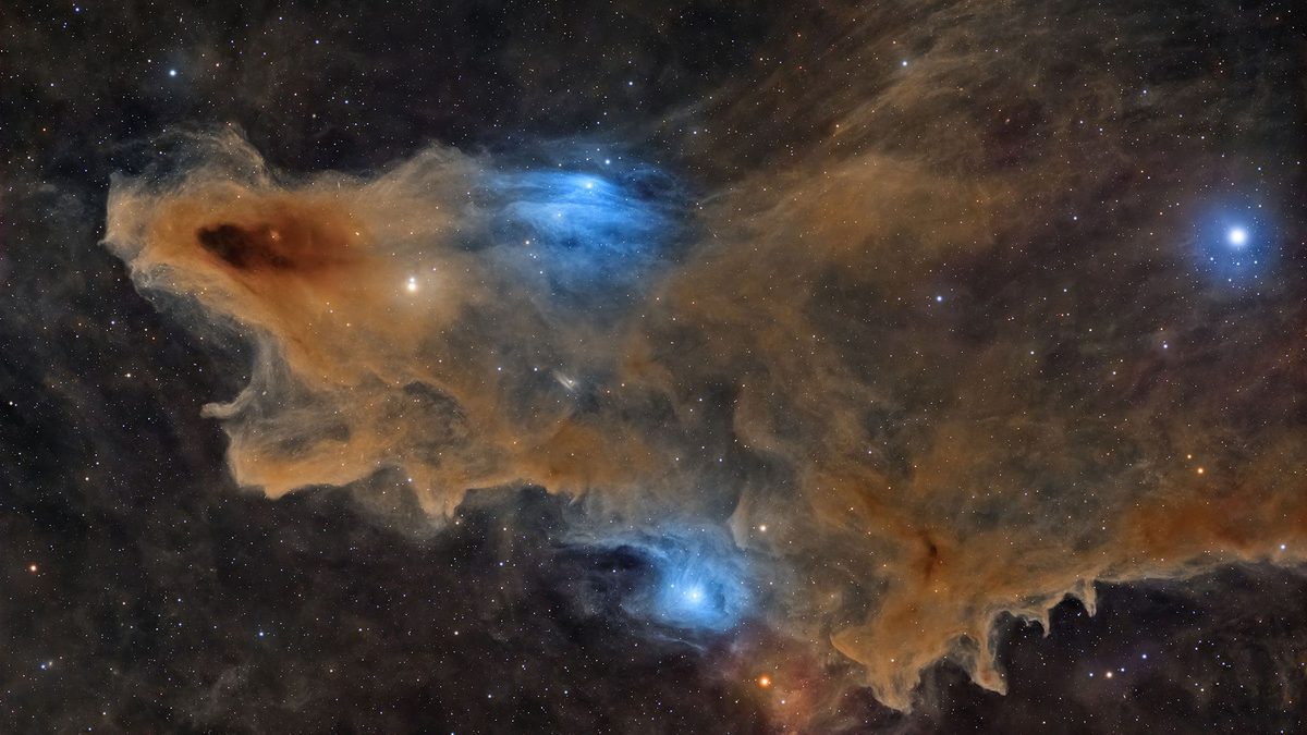 A space shark, 'royal' auroras and a 'Venusian pearl': See the winners of the 2026 ZWO Astronomy Photographer of the Ye…