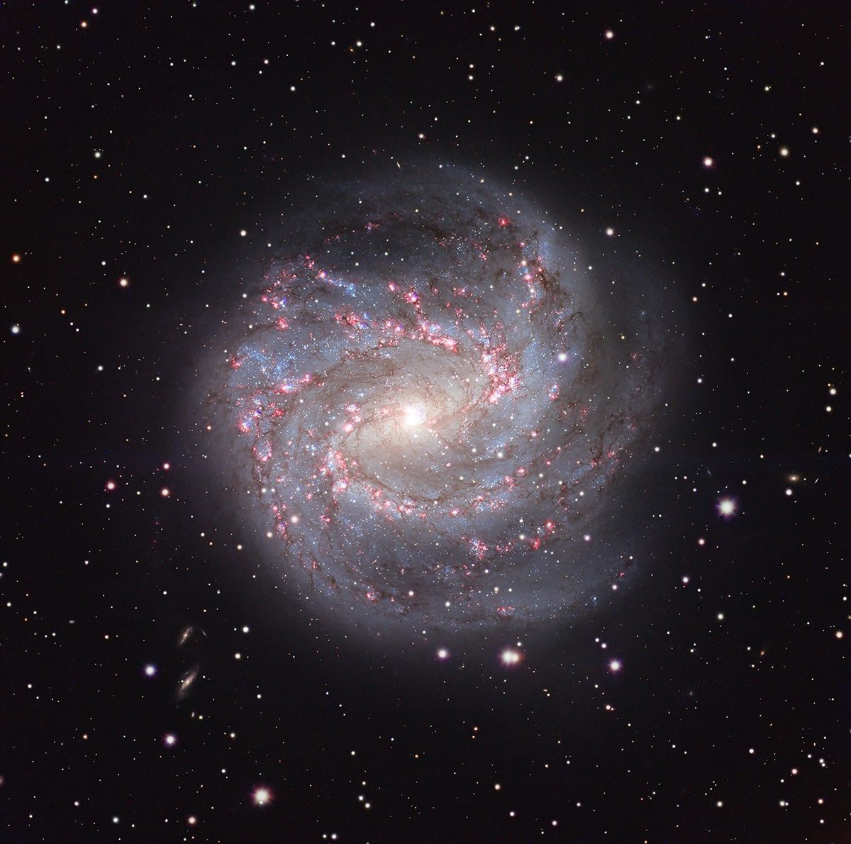 APOD: 2026 September 11 – M83: The Southern Pinwheel