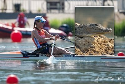 Officieel goedgekeurd: Olympiërs roeien bij Spelen van 2032 in rivier waar honderden krokodillen leven