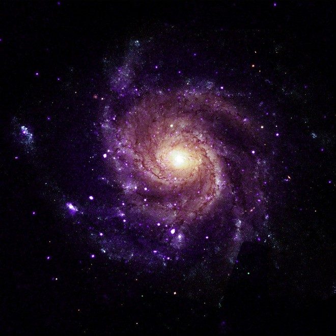 Chandra trova 84 oggetti misteriosi: potrebbero risolvere due enigmi