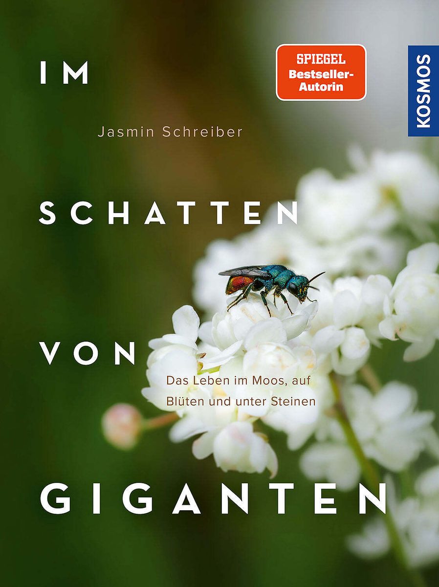 Die Pizza der Schmeißfliegen