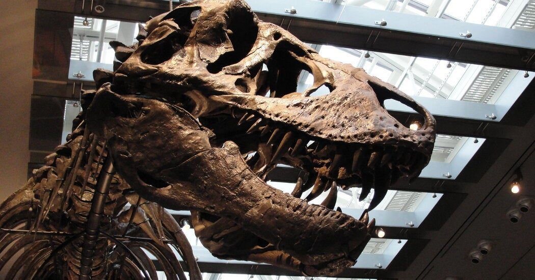 T. Rex, King of the Dinosaurs, Had a Body Temperature of 97 Degrees