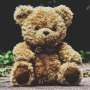 When prepping for disaster, don't forget to pack your teddy bear